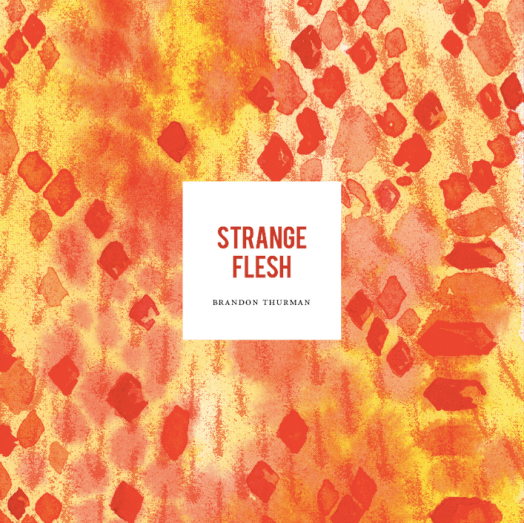 Screen Shot 2018-02-10 at 1.49.02 PM